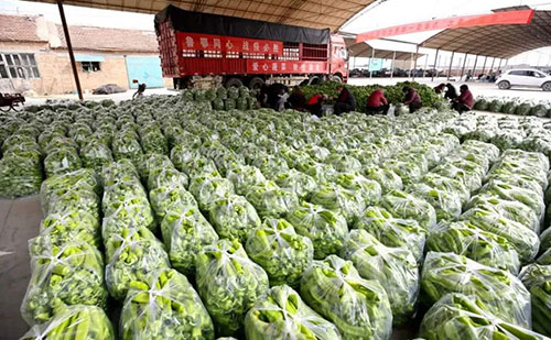 我是湖南長沙蔬菜批發(fā)市場，買多少錢的農(nóng)藥殘留檢測儀合適？
